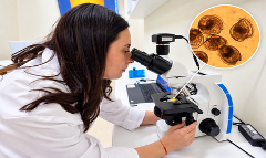 Trabajo de Laboratorio